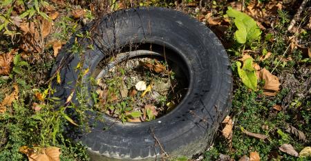 tire litter MR1540.jpg